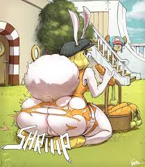 One piece chopper porn