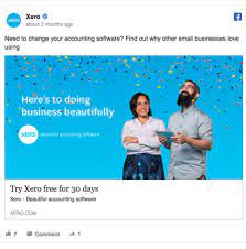 Xero Facebook Ad Facebook Ads Examples Fb Ads Best Facebook