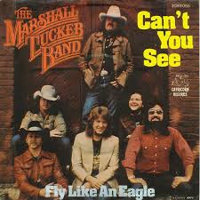 Can T You See The Marshall Tucker Band Album Cover Art Album Art Classic Rock And Roll