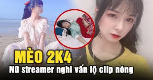 Gửi đơn đến công an hà nội truy nguồn phát tán. Ná»¯ Streamer Ná»•i Tiáº¿ng Meo 2k4 Lá»™ Clip Nong CÆ° Dan Máº¡ng Sá»'t Sinh Sá»‹ch