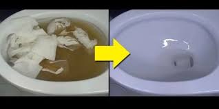 Jedes Klo Wird Frei Daunenkissen Waschen Toiletten Reinigen Haushalts Tipps