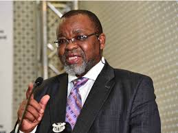 Organisational report by secretary general gwede mantashe. Mantashe Admitted To Hospital After Testing Postive For Covid 19