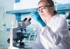Vous êtes à la recherche d'un emploi : Cpe Lyon Majeure Sciences Du Vivant Et Biotechnologies Ecole Ingenieur Biotechnologie Ecole Biotechnologie