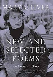 New And Selected Poems Volume One Mary Oliver 9780807068786 Amazon Com Books Mary Oliver Mary Oliver Poems Poems