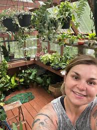 Building a new greenhouse with linseed oil base