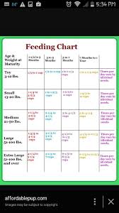 puppy feeding chart puppycrates puppy training tips