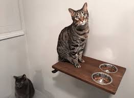 Raised Cat Feeder Double Cat Feeding Shelf Cat By Catwallfurniture Catsdiytoy Cat Food Station Cat Food Bowl Cat Feeding Station