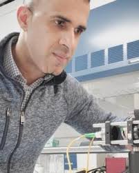 Resilient Entanglement Distribution in a Multihop Quantum Network