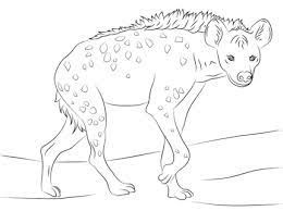 The spruce / wenjia tang take a break and have some fun with this collection of free, printable co. Spotted Hyena Coloring Page Supercoloring Com Wild Animals Drawing Animal Coloring Pages Animal Drawings