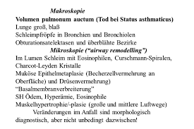 Maybe you would like to learn more about one of these? Klinisches Institut Fur Pathologie Akh Wien Ppt Herunterladen