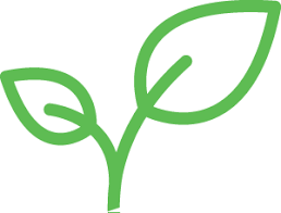 We have worked hard to develop a good name. Industrial Paper Wholesale Paper Seed Paper Supply