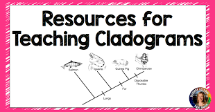Resources For Teaching Cladograms Welcome To Science Lessons That Rock