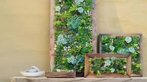 One of our favorite ways to utilize a blank outdoor wall and bring a little more life to a space is by installing a vertical wall garden. Creative Ideas To Grow A Vertical Garden In Your Small Space