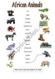 Lists of biota of africa. African Animals Esl Worksheet By Apodo