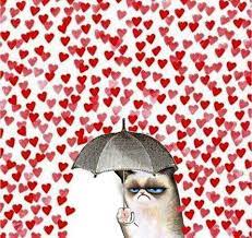 pin on cats grumpy cat