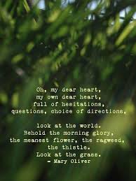 Mary Oliver Nature Quotes Quote Cards Mary Oliver Poems