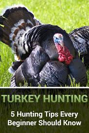 When It Comes To Turkey Hunting There Are A Few Tips Every Beginner Needs To Know One Of The Biggest Tips Is When A Tom St Turkey Hunting Hunting Hunting Tips
