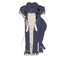 Drawing an elephant may seem like a gargantuan task, but follow these. Karnan Projects Photos Videos Logos Illustrations And Branding On Behance