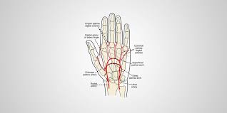 Image result for Allen Test