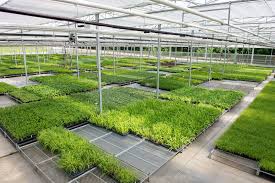 Header house the header house is an important component of the greenhouse design. Ai Driven Ipms Are The New Normal Greenhouse Product News