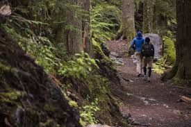 Cougar rock is located between longmire and paradise in the southwest corner. Cougar Rock Campground