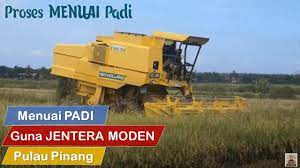 Menuai padi menggunakan jentera jenis sederhana (30 kuasa kuda) atau jenis besar(100 kuasa kuda). Menuai Padi Menggunakan Jentera Menuai Moden Youtube