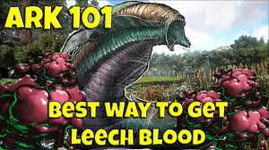 Harvesting leeches with the megatheriumwill get yo. Leech Blood Ark Leech Creature Id