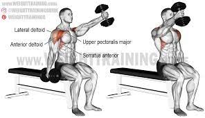 This later version will permit you to lift heavier weights. Seated Alternating Dumbbell Front Raise An Isolation Exercise Target Muscle Anterior Deltoid Synergi Shoulder Workout Dumbell Workout Best Shoulder Workout