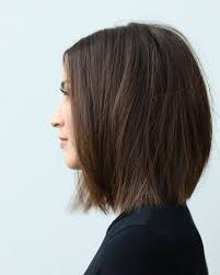 Brief Concepts Finest Straight Short Straight Hair Straight Bob Hairstyles Thick Hair Styles