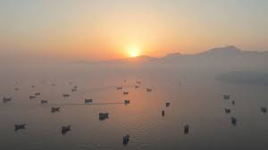 Oil prices fall, tanker bosses remain cautious on resumption of Hormuz transit