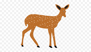 Clipart library is a free cliparts collection of clip art gallery with thousands of free clipart, graphics, images, animated clipart, illustrations, pictures for you to download Deer Clip Art Silhouette Vector Transparent Doe Clipart Png Doe Png Free Transparent Png Images Pngaaa Com