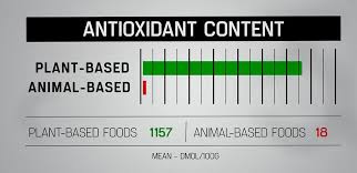 I am training for a half marathon now i took blood tests before i started and plan to get them again when i am done, 14lbs from now. Mustwatch Why The Game Changers Is Such A Game Changer