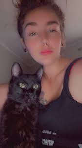 Lost cat in Spring Hill, FL