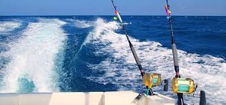 Living Easy Sports Fishing Charters Aruba Offers Deep Sea Fishing And Sport Fishing Trips In Aruba We Saltwater Fishing Trolling Fishing Deep Sea Fishing