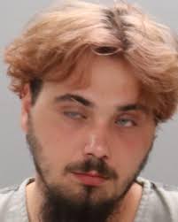 CHEEKS, SAW THOMAS Charges: DOMESTIC ASSAULT/CONDITIONAL RELEASE ORDER  DOMESTIC ASSAULT/CONDITIONAL RELEASE ORDER AGGRAVATED ASSAULT