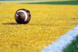 Complete list 2022 Ohio Prep Sportswriters All-SW District Football