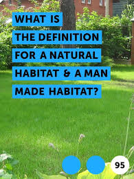 Habitat definition, the natural environment of an organism; Learn What Is The Definition For A Natural Habitat A Man Made Habitat How To Guides Tips And Tricks In 2021 Habitats Landscape Plans Nature
