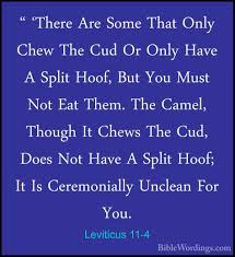 The camel, though it chews the cud, does not have a split hoof; Leviticus 11 Holy Bible English Biblewordings Com