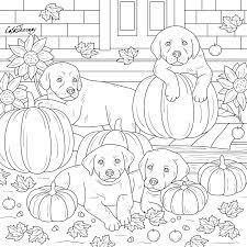 While your special bond lets you understand each other to a certa. The Sneak Peek For The Next Gift Of The Day Tomorrow Do You Like This One Puppies Pumpkins Fall Coloring Pages Coloring Books Halloween Coloring Pages