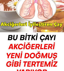 Saglik Onerleri Panosundaki Pin
