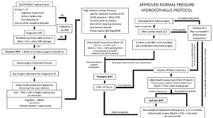 Image result for Normal Pressure Hydrocephalus