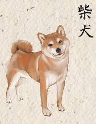 An egg cant hatch in a day and become a chicken, patience and holding is the most important part! Shiba Sketchbook Shiba Inu Sketchbook With The Word Shiba Written In Kanji Characters 120 Pages 8 5 X 11 Perfect Blank Paper Notebook For And Sketching Your Art Japanese Sketchbooks Journals Japan