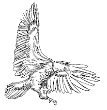 Black And White Eagle Clipart Images Pick One Of The Best Bald Eagle Clipart From Our Collection And Use It In Logo Designs Or Clothing Designs Description Fr Eagle Drawing Free Clip Art Clip Art