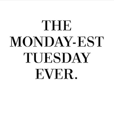 Instagram Photo By Erica S Ed Ventures May 31 2016 At 11 36am Utc Bank Holiday Quotes Tuesday Quotes Holiday Blues Quotes