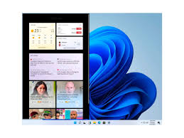 There will never be a windows 11. 4hri7 Iboy1y M