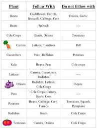 Vegetable Garden Crop Rotation Chart Container Gardening