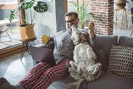 This Is Why Your Dog Leans On You Reader S Digest