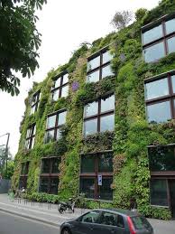 Epingle Sur Murs Vegetalise