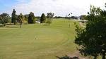 Mangrove Bay Golf Course | Visit St Petersburg Clearwater Florida
