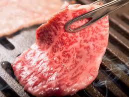 Siamo andati a firenze, ospiti della trattoria dall'oste ricreiamo la carne giapponese di wagyu a5 artificialmente morbida e succosa insaporita ed arrostita che costerebbe centinaia. Manzo Di Kobe La Carne Giapponese Piu Preziosa Innaturale